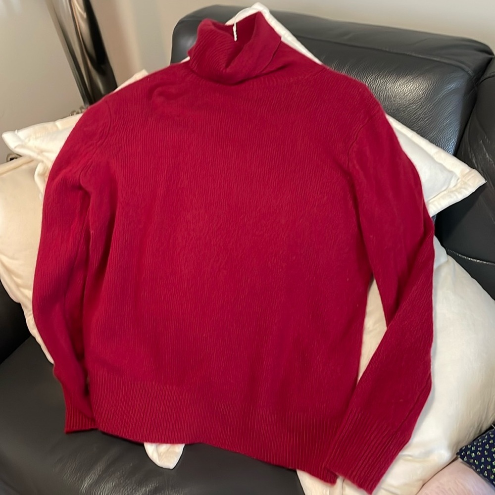 Aritzia Babaton LUXE CASHMERE FINO TURTLENECK in Biking Red size 2XS